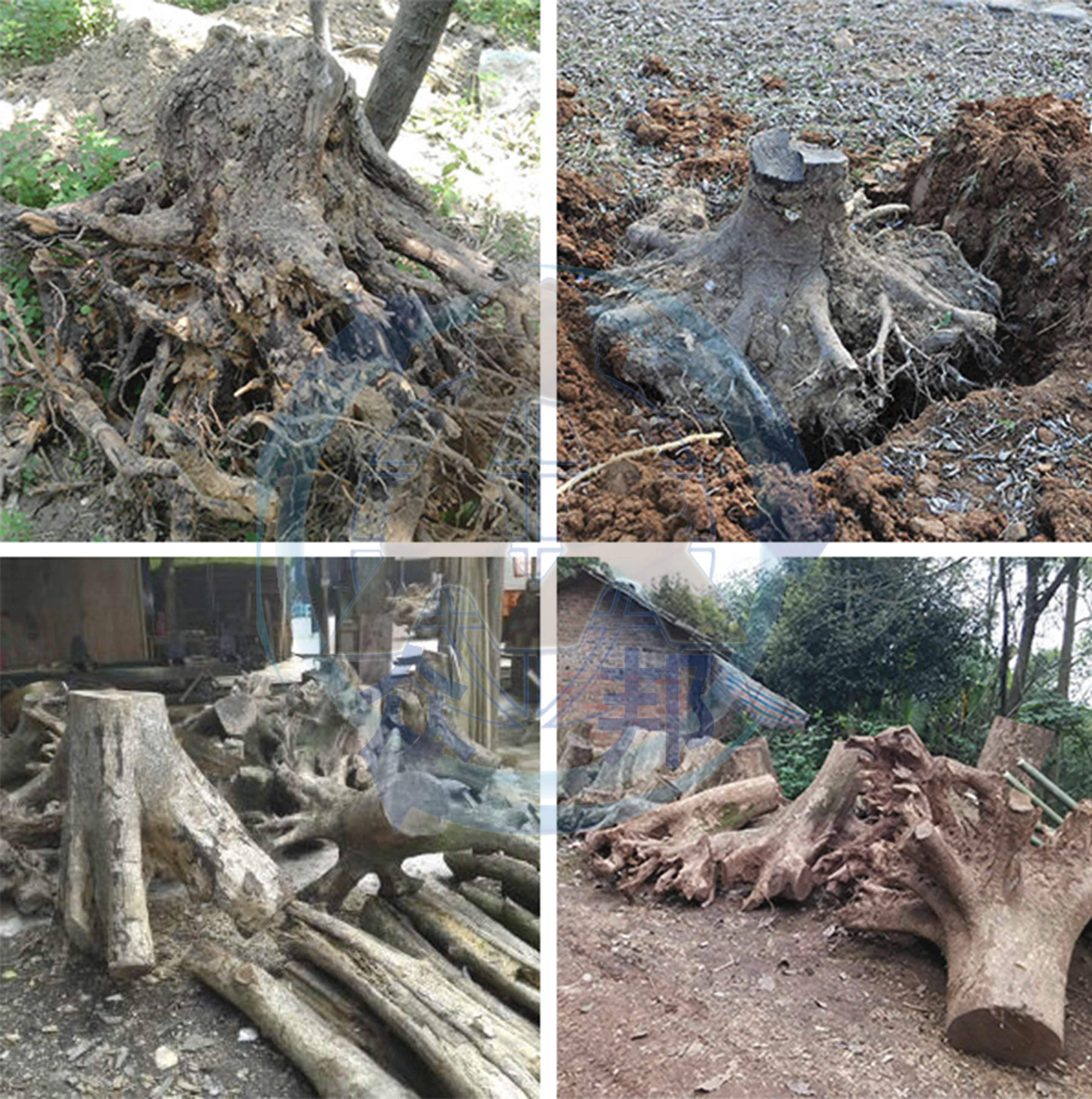 圓盤式樹根破碎機(jī)破碎原料 圓盤式樹根破碎機(jī)破碎原料