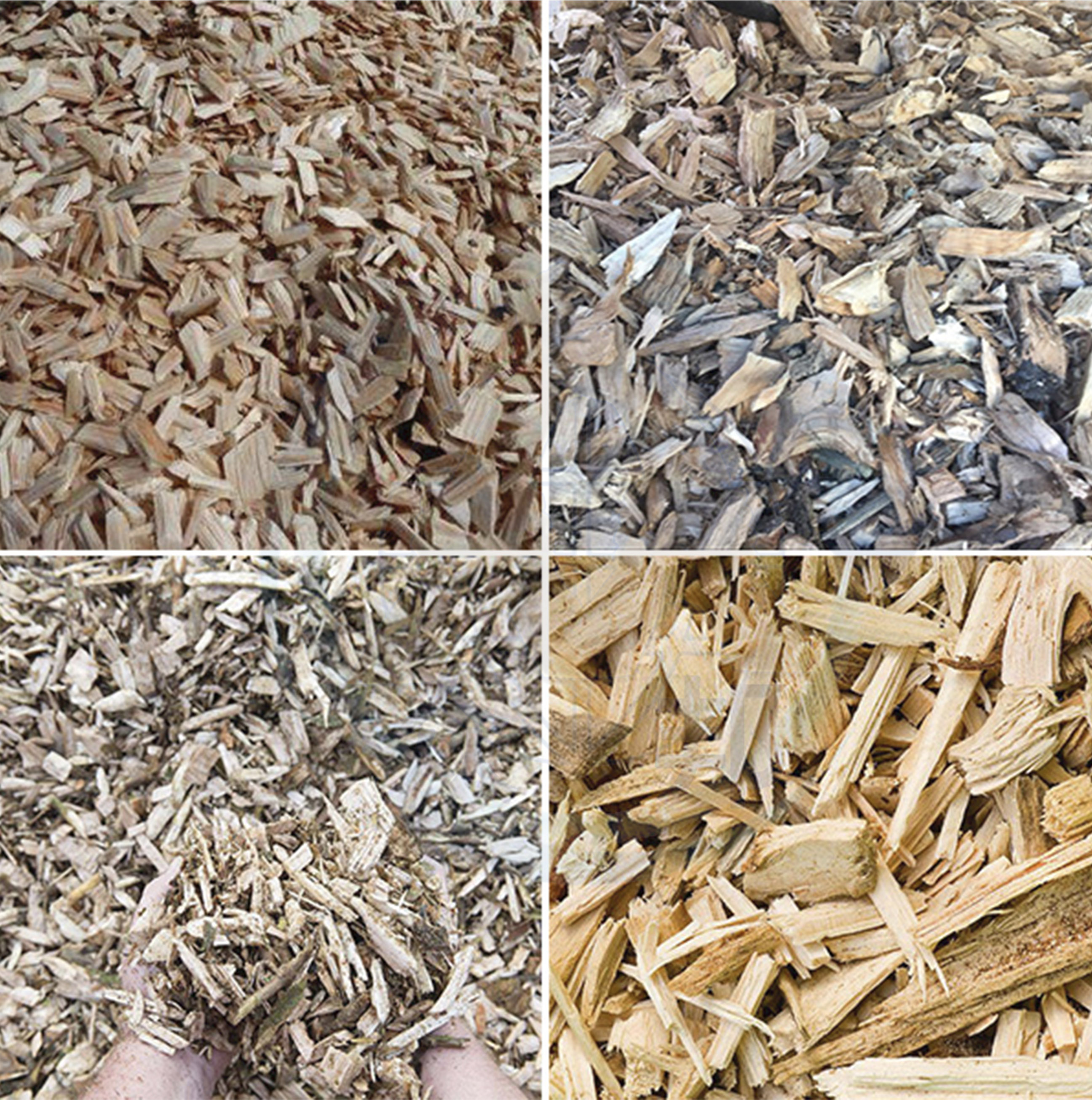 圓盤式樹根破碎機(jī)破碎效果 圓盤式樹根破碎機(jī)破碎效果